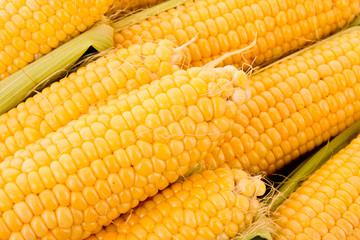 Few yellow corn