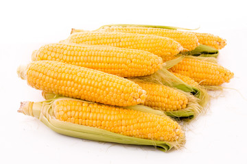 Few corn isolated on white