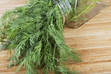Fresh Dill