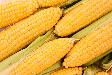 Few yellow corn