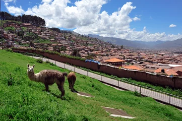Foto op Aluminium Cuzco city landscape with lama © Cinematographer