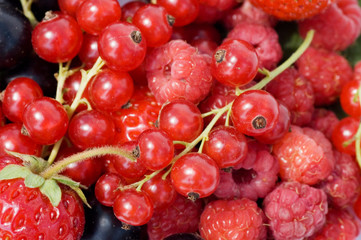 Ripe garden berries as a background