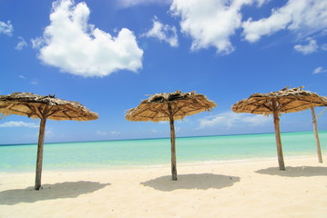 Beach umbrellas
