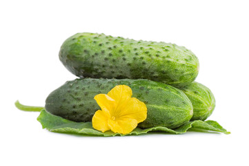 Green cucumber vegetable with leafs and flowers isolated