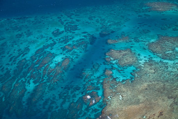 Fototapeta na wymiar Wielka Rafa Koralowa