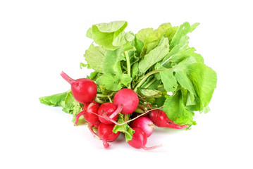 Fresh radishes