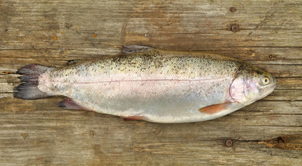 Trout fish on the wooden background