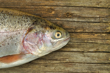 Trout fish on the wooden background