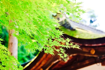 Zelfklevend Fotobehang 京都の風景 © arkgarden