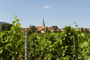 Fototapeta na wymiar village de Mittelberg home en Alsace