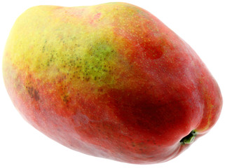 mangue 