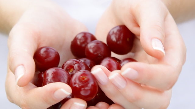 Cherry fruis in woman's hands.