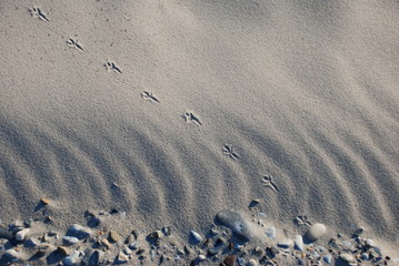 Spuren im Sand