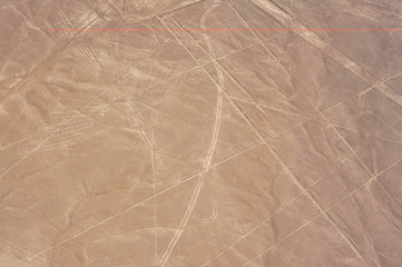 Nazca lines view from plane © Cinematographer