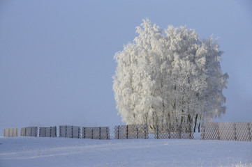 Wintertag