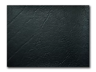 Ingelijste posters textuur van zwart kunstleer monster © nuttakit
