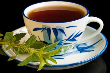 der pflanzliche Ersatz für Zucker die Stevia rebaudiana