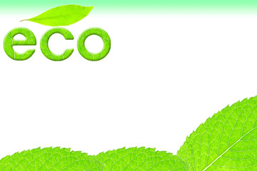 ミントの葉と葉の文字（eco）のイメージ