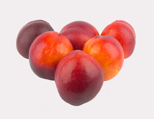 nectarine