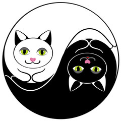 Cat ying yang symbol of harmony and balance