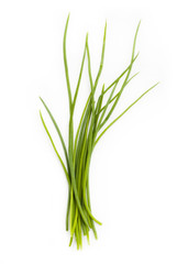 Fresh chives bunch