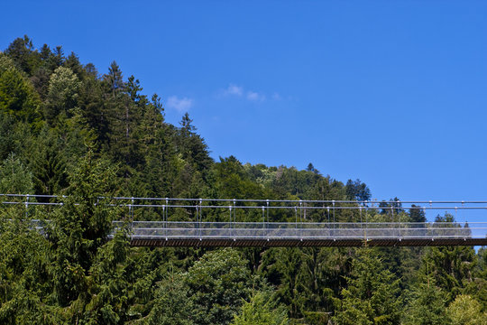 Hängebrücke im Wald 