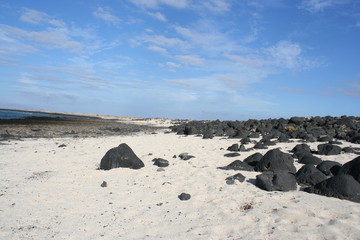 Fuerteventura Volcanic Coast