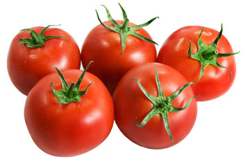 tomatoes