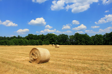 hay bale cornfield trees blue sky white clouds