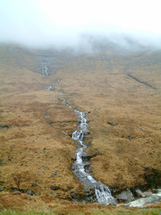 Misty Mountain Stream