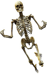 skeleton celebrate