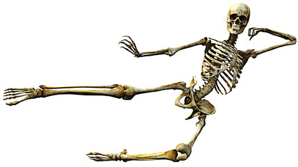skeleton karate kick © DM7
