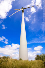 Windmill in a field against a blue sky and clouds, alternative e