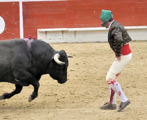 Photo sur Plexiglas Tauromachie Forcado Facing Bull