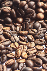 Coffee beans on   background