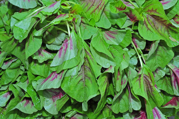 green vegetable leaves in the markets