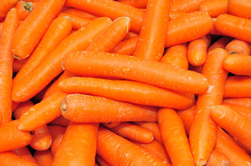 orange carrots in the markets
