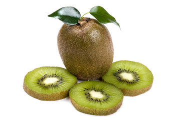 kiwi