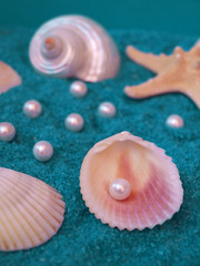 Treasure from the sea