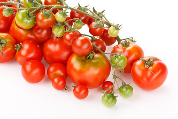 fresh tomatoes