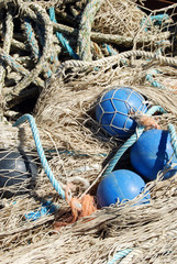 Nella rete da pesca