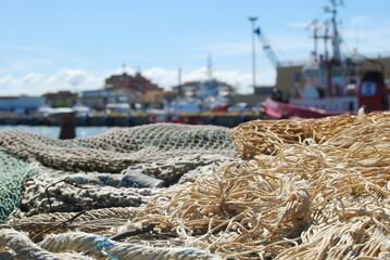 Reti da pesca nel Porto di Fiumicino