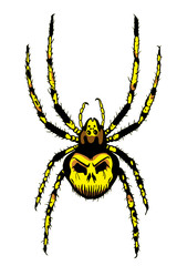 Spider with skull on the body