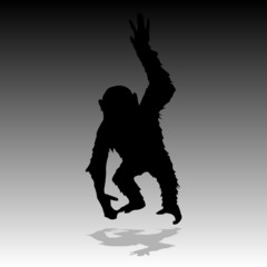 monkey vector illustration