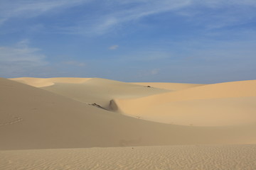 Fototapeta na wymiar Desert krajobraz z wydm na tle błękitnego nieba