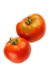 fresh tomatoes