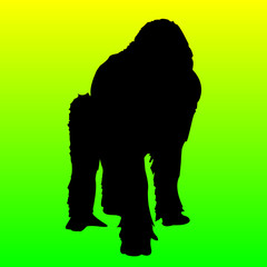 monkey vector illustration