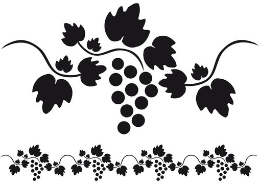 Fototapeta uvas vid racimo silueta cenefa