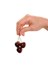 hand holding cherry isolated over white