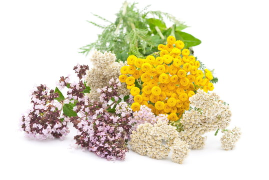 Herbal medicine